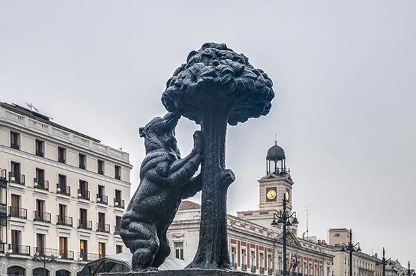 Sol oso madroño ver en Madrid