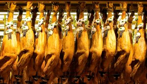 Food tour around Spain
