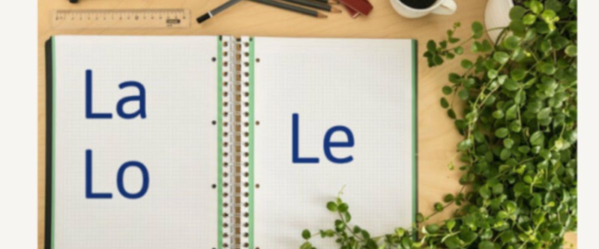 objeto directo indirecto en español