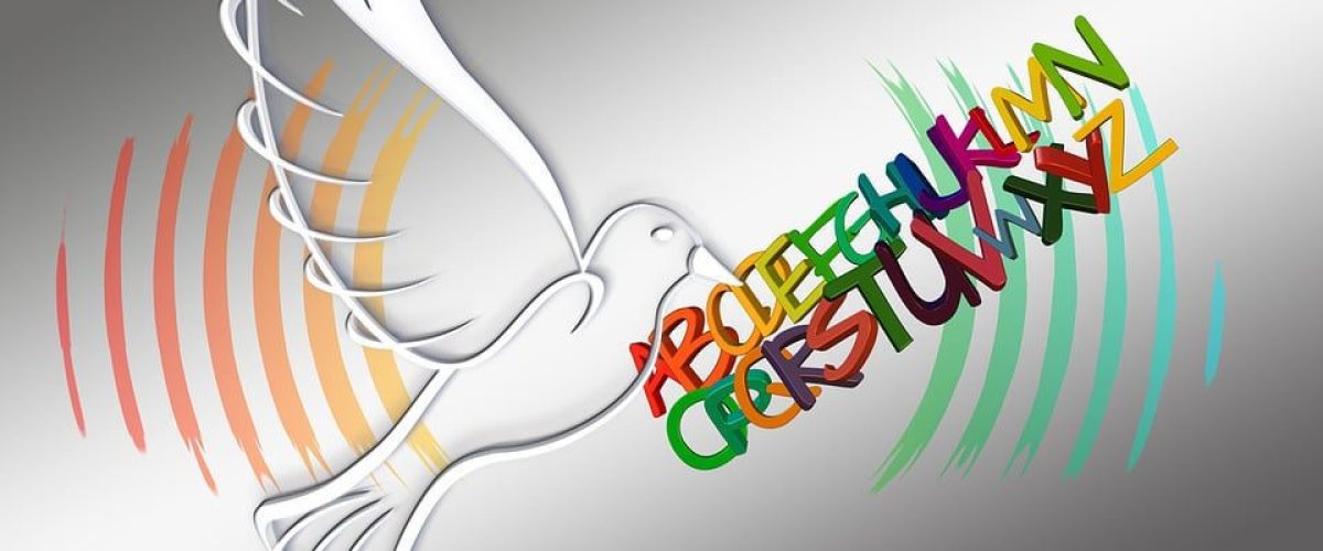 dia de la alfabetizacion