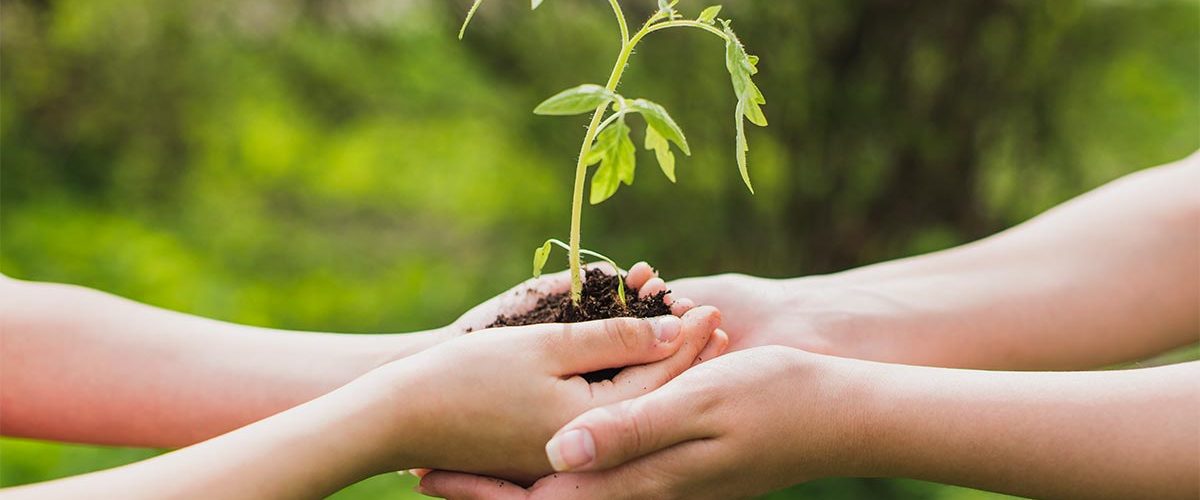 Se parte de Madrid Ecológico y cambia el mundo